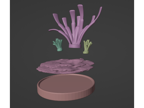 Clambo DKC or Giant Clam DKL 3D 프린트 모델