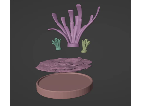 Clambo DKC or Giant Clam DKL 3D Print Model