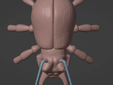 Click Clack DKC2 3D Print Model