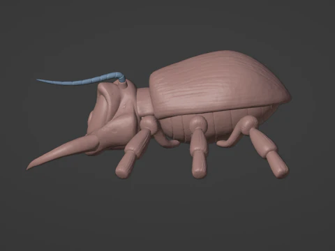 Click Clack DKC2 3D Print Model