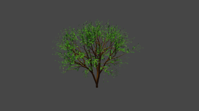 Tree 3D Модель .c4d .max .obj .3ds .fbx .stl .blend 