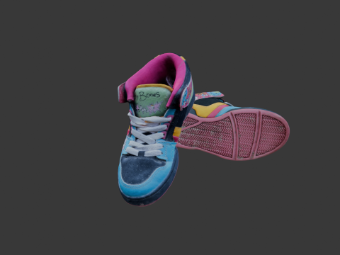 Scanned Skater Shoes 3D Model