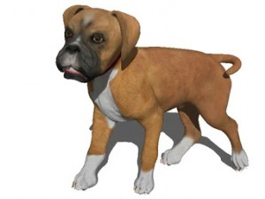 Dog 1 3Dモデル