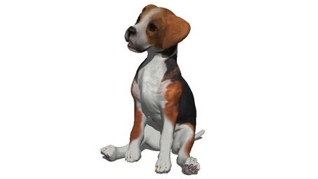 Dog 2 3D 모델 .c4d .max .obj .3ds .fbx .stl .blend 