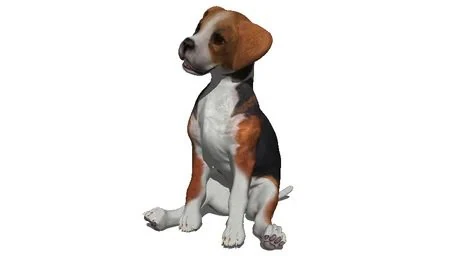 Dog 2 3D Model .c4d .max .obj .3ds .fbx .stl .blend 