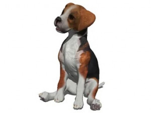 Dog 2 3D Model