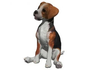 perro 2 Modelo 3D