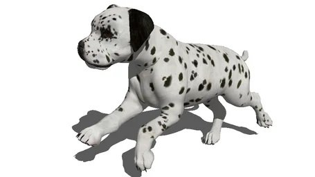 Dog 3 3D 모델 .c4d .max .obj .3ds .fbx .stl .blend 