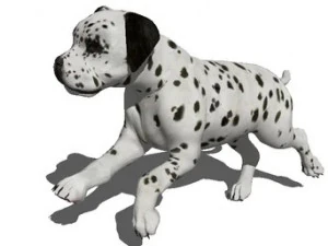 K&ouml;pek 3 3D Model