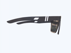 Sunglasses Modelo 3D