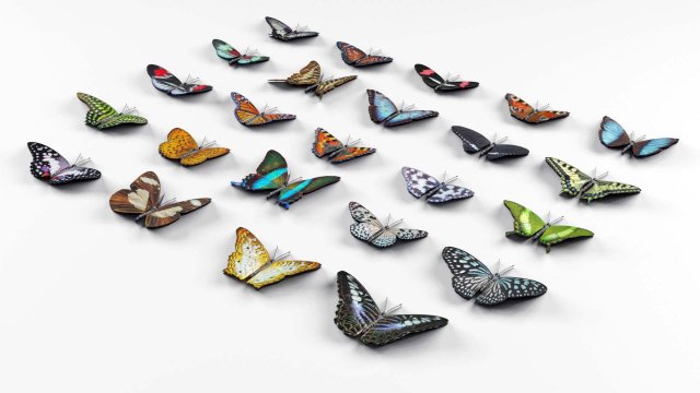 Butterflies - 24 Rigged Low-Poly Butterfly Models 3D Model .c4d .max .obj .3ds .fbx .stl .blend 