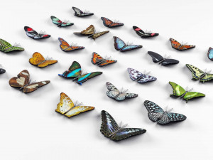 Butterflies - 24 Rigged Low-Poly Butterfly Models 3D Model