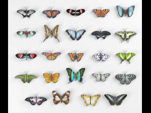 Butterflies - 24 Rigged Low-Poly Butterfly Models 3D Model