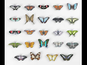 तितलियाँ - 24 कठोर लो-पॉली तितली मॉडल 3D मॉडल