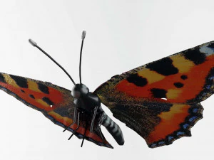 तितलियाँ - 24 कठोर लो-पॉली तितली मॉडल 3D मॉडल