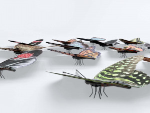 Butterflies - 24 Rigged Low-Poly Butterfly Models 3D Model