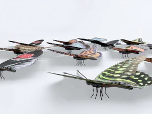 तितलियाँ - 24 कठोर लो-पॉली तितली मॉडल 3D मॉडल