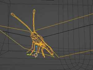 तितलियाँ - 24 कठोर लो-पॉली तितली मॉडल 3D मॉडल