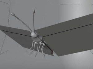 Butterflies - 24 Rigged Low-Poly Butterfly Models 3D Model