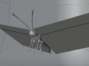 तितलियाँ - 24 कठोर लो-पॉली तितली मॉडल 3D मॉडल