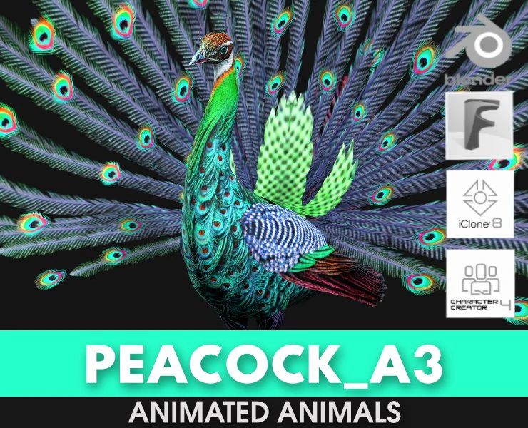Peacock-A3 3D Model .c4d .max .obj .3ds .fbx .stl .blend 