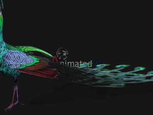 Peacock-A3 3D Model