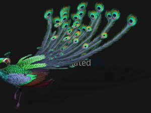 Peacock-A3 3D Model