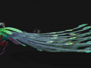 Peacock-A3 3D Model