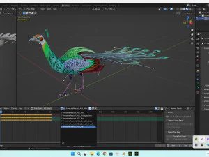 Peacock-A3 3D Model