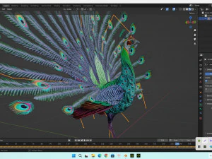 Peacock-A3 3D Model