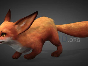 Fox-Ver1 3D Model