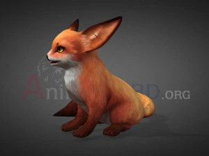 Fox-Ver1 3D Model