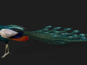 Pav&atilde;oV1E Modelo 3D