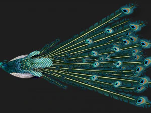 Pav&atilde;oV1E Modelo 3D