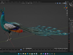 PeacockV1E 3Dモデル