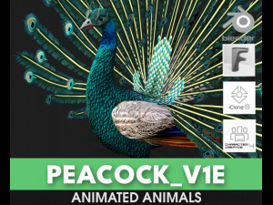 PeacockV1E 3Dモデル