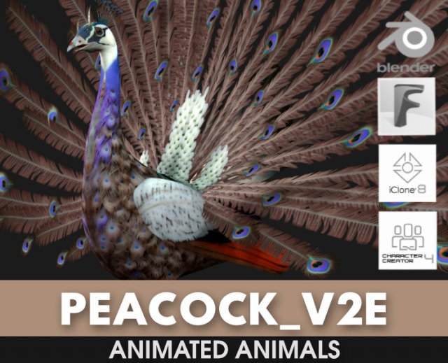 Peacock-V2E 3D 모델 .c4d .max .obj .3ds .fbx .stl .blend 