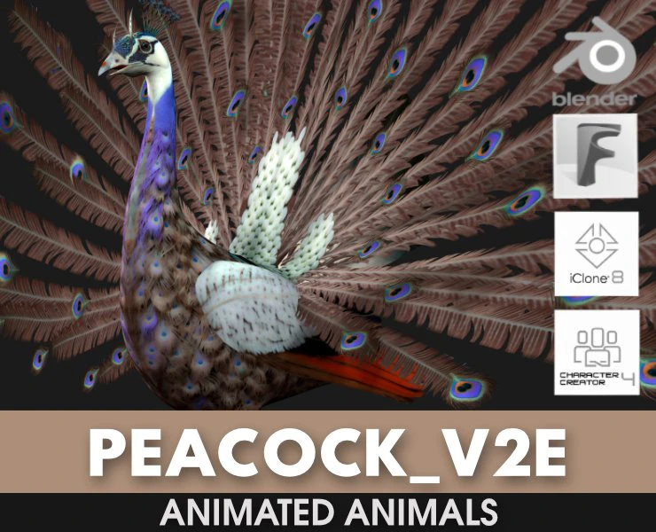 Peacock-V2E 3D Model .c4d .max .obj .3ds .fbx .stl .blend 