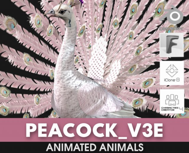 PeacockV3E 3D Model .c4d .max .obj .3ds .fbx .stl .blend 