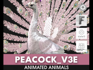 PeacockV3E 3D Model