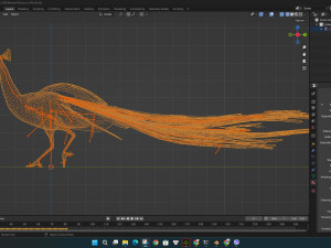 PeacockV4E 3D Model