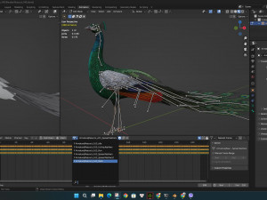 PeacockV4E 3D Model