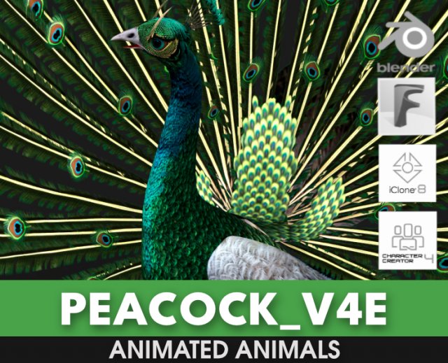 PeacockV4E 3D Model .c4d .max .obj .3ds .fbx .stl .blend 
