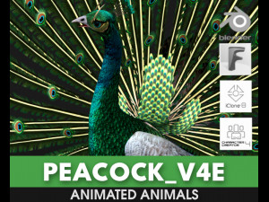 PeacockV4E 3D Model