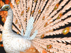 PavoneV5E Modello 3D