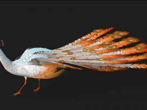 PavoneV5E Modello 3D