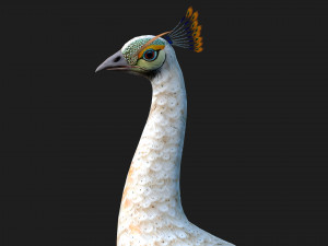 PeacockV5E 3D Модель