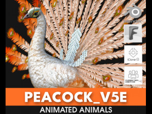 PeacockV5E 3D Модель