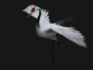 Crane BirdA1 Modelo 3D