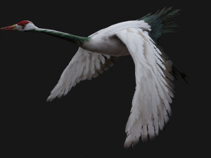 Crane BirdA1 Modelo 3D